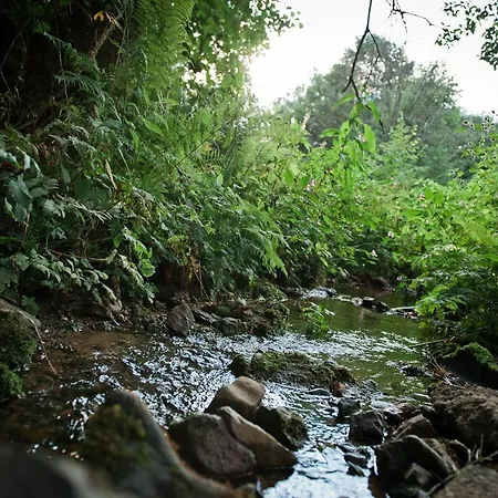 Sleep Space 24 - Tiny Village Harz *