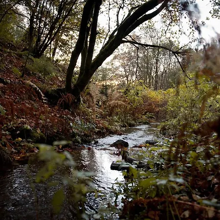 Sleep Space 24 - Tiny Village Harz Osterode am Harz