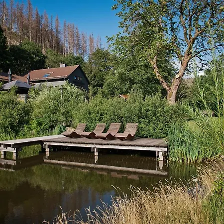 Sleep Space 24 - Tiny Village Harz * Osterode am Harz