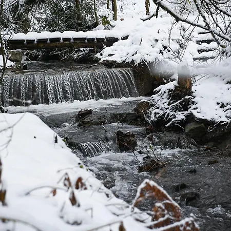 Sleep Space 24 - Tiny Village Harz *